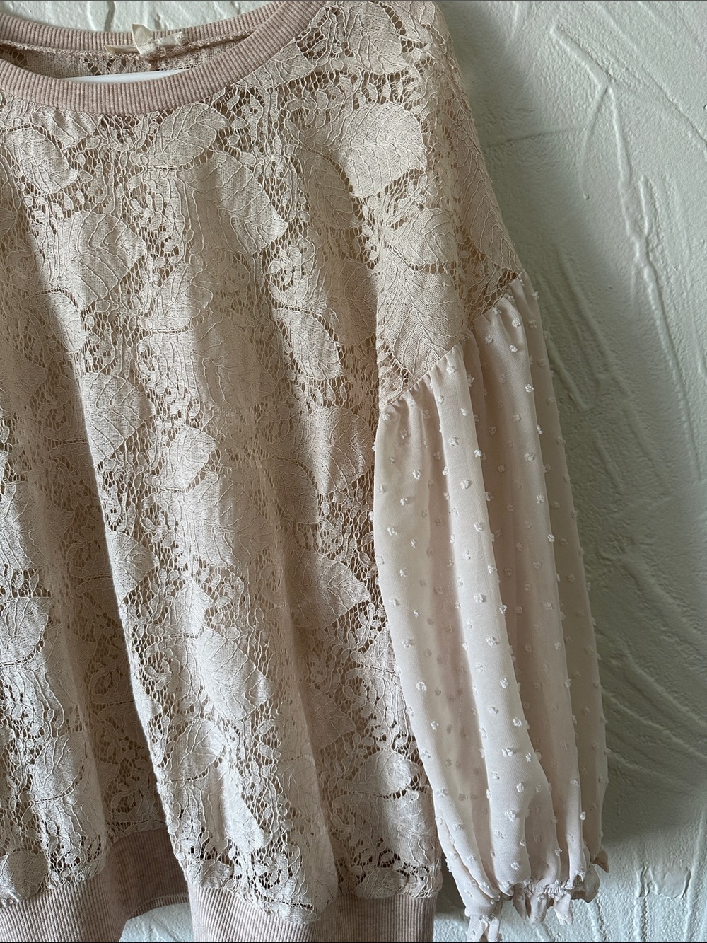 Mystree Lace Front & Sheer Dobby Sleeve Sweatshirt in Light Beige - Picture 7 of 7